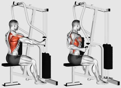 क्या हमें बेहतर बैक ट्रेनिंग के लिए रो या पुल पर ध्यान देना चाहिए?